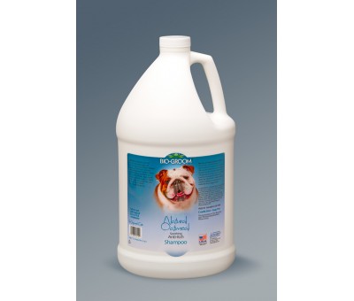 картинка Шампунь для собак овсяный Natural Oatmeal 3,8л Bio-Groom от ЗОО-магазина К-9