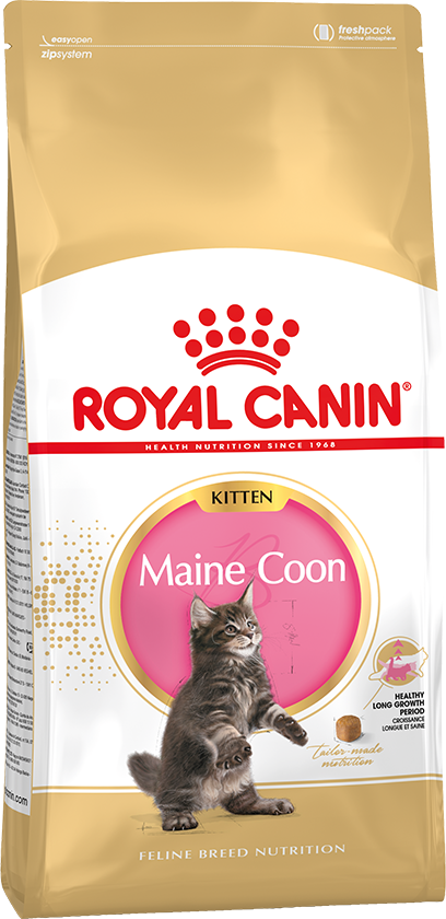 картинка Royal Canin Maine Coon Kitten  от ЗОО-магазина К-9