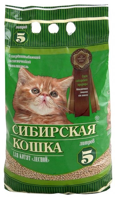 картинка Сибирская Кошка "Лесной" для котят от ЗОО-магазина К-9