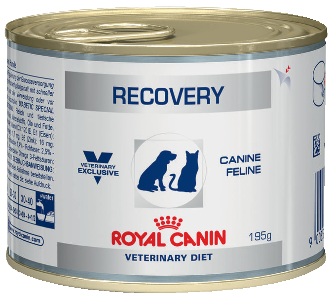 картинка Royal Canin RECOVERY 0.195g от ЗОО-магазина К-9
