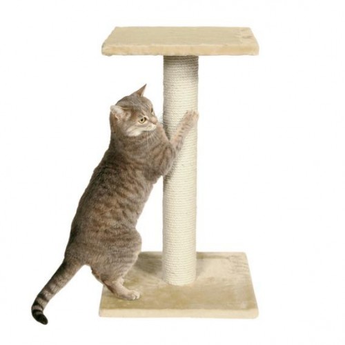 картинка Когтеточка для кошек и место для сна. Основание - плюш, столбик из натурального сизаля от ЗОО-магазина К-9