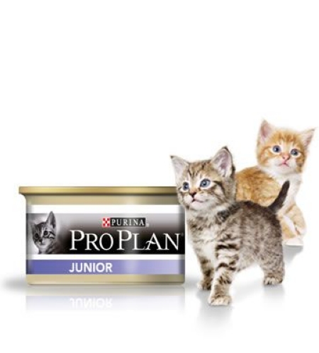 картинка Purina PRO PLAN "Junior" консервы 85 гр для котят мусс курица печень от ЗОО-магазина К-9