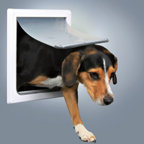 картинка Дверь врезная для мелких и средних пород собак. Пластик. от ЗОО-магазина К-9