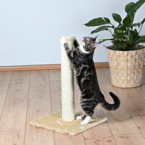 картинка Когтеточка для кошек. Основание - плюш, столбик из натурального сизаля от ЗОО-магазина К-9