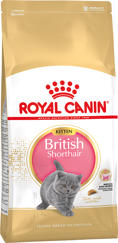 картинка Royal Canin Kitten British Shorthair  от ЗОО-магазина К-9